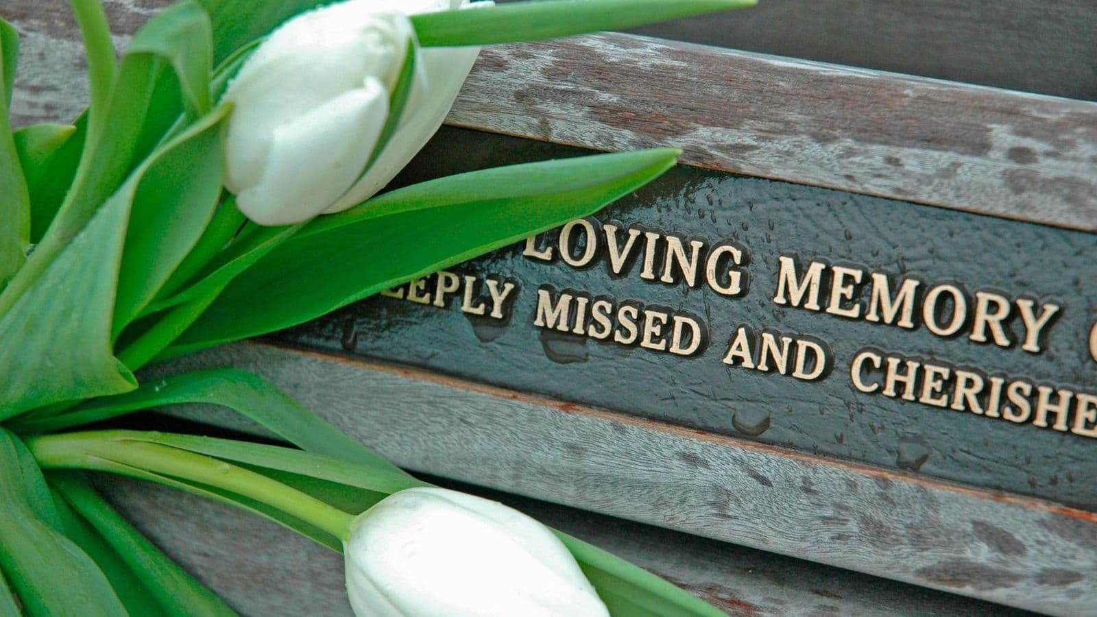 Amanda Jane Miller - In Loving Memory